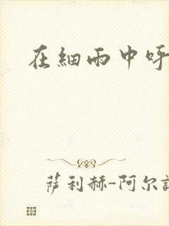 在细雨中呼喊