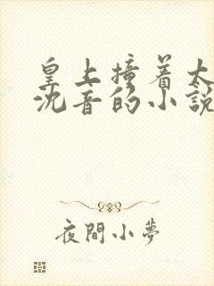 皇上撞着太子妃沈音的小说叫什么