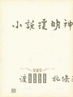 小说琼明神女录