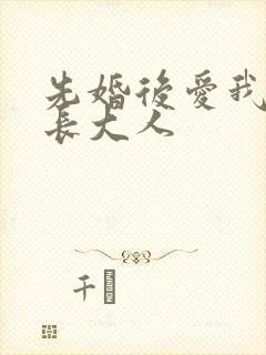 先婚后爱我的市长大人