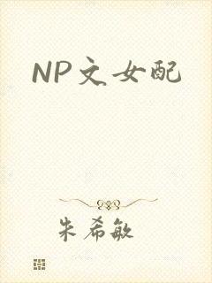 NP文女配
