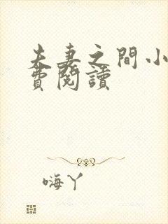 夫妻之间小说免费阅读