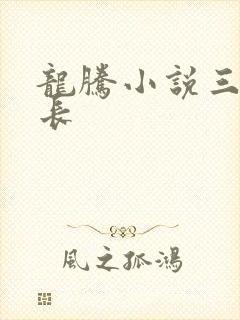 龙腾小说三宝局长