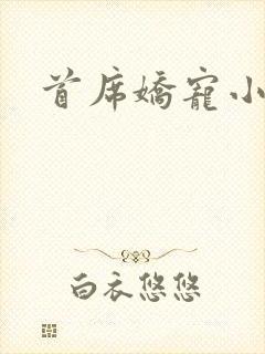 首席娇宠小情人