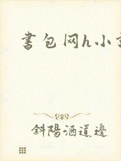 书包网h小说