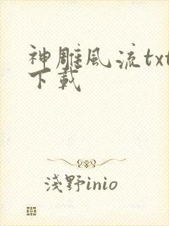 神雕风流txt下载