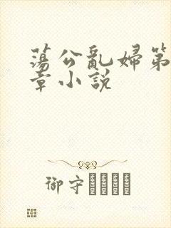 荡公乱妇第51章小说