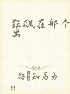 狂飙在哪个台播出