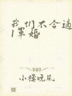 我们不合适1v1军婚