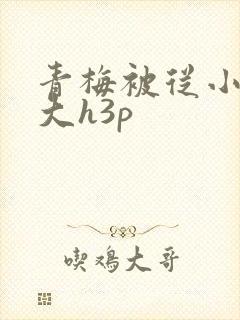 青梅被从小摸到大h3p