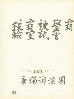 校霸被学霸压实验室试管