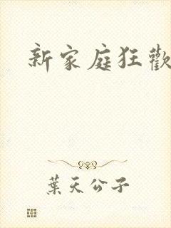 新家庭狂欢小说