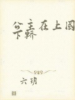 公主在上国师请下轿