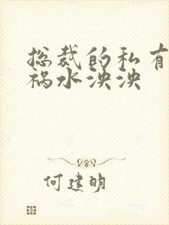 总裁的私有宝贝祸水泱泱