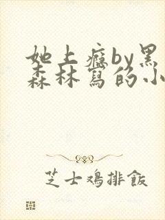 她上瘾by黑暗森林写的小说免费阅读无弹窗