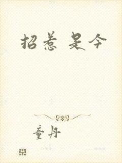 招惹 是今