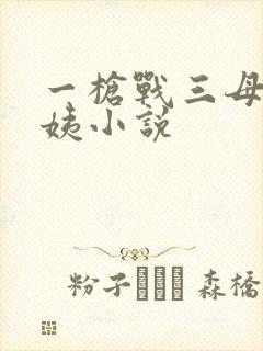 一枪战三母2雪姨小说