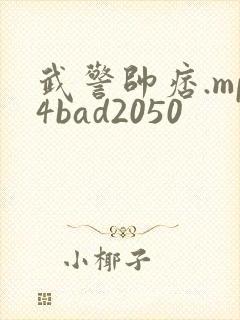 武警帅痞.mp4bad2050
