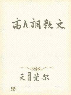 高h调教文