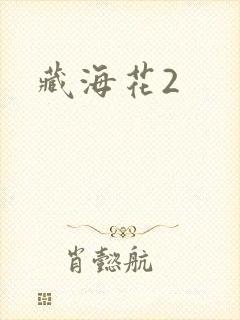 藏海花2