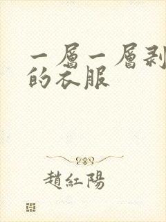 一层一层剥开你的衣服