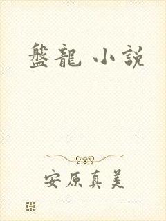 盘龙 小说