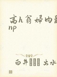 高h翁妇肉乱文np