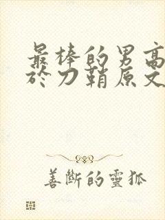 最棒的男高中生于刀鞘原文阅读