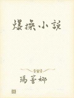 爆操小说