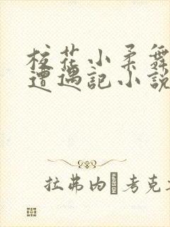 校花小柔舞蹈室遭遇记小说