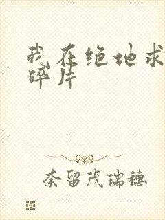 我在绝地求生捡碎片