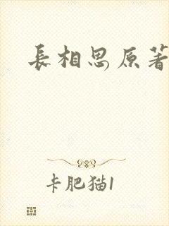 长相思原著小说