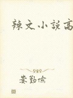辣文小说高h