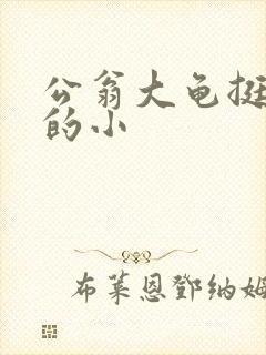 公翁大龟挺进我的小