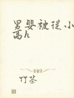 男婴被从小调教高h