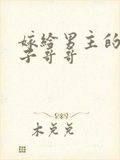 嫁给男主的病秧子哥哥