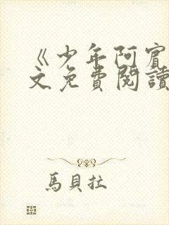 《少年阿宾》全文免费阅读