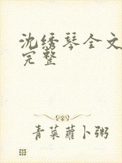 沈绣琴全文阅读完整