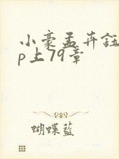 小豪孟卉钰慧三p上79章