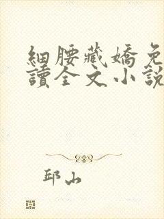 细腰藏娇免费阅读全文小说苏珞浅