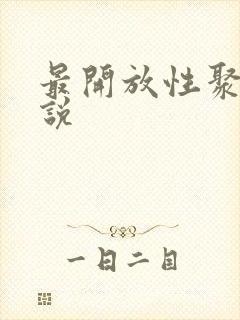 最开放性聚会小说