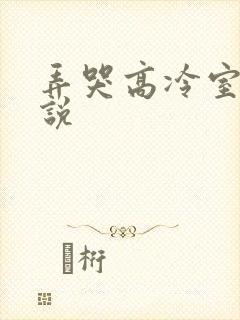 弄哭高冷室友小说