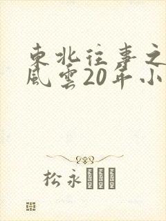 东北往事之黑道风云20年小说