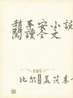 赵平安小说免费阅读全文