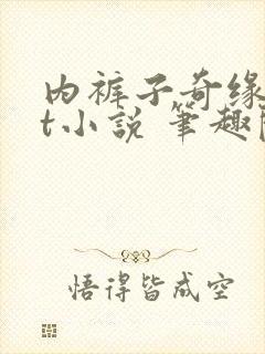 内裤子奇缘txt小说 笔趣阁