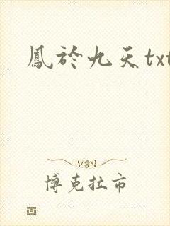 凤于九天txt