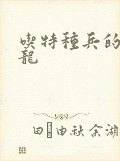 吃特种兵的大黑龙