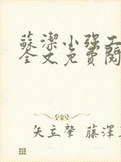 苏洁小强工地情全文免费阅读