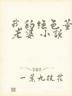 我的绝色董事长老婆 小说