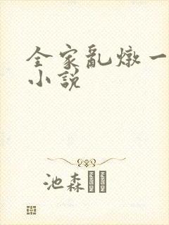 全家乱炖一锅烩小说